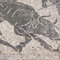 Fussboden-Mosaik Ostia Antica